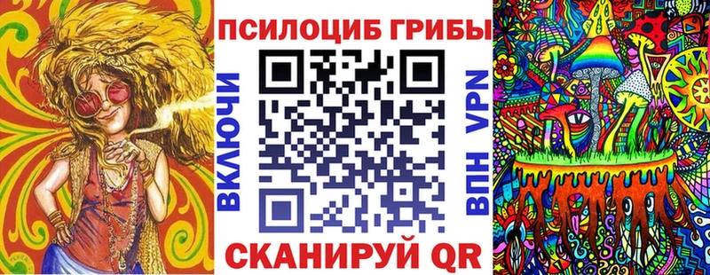 закладки  Терек  Галлюциногенные грибы Psilocybe 