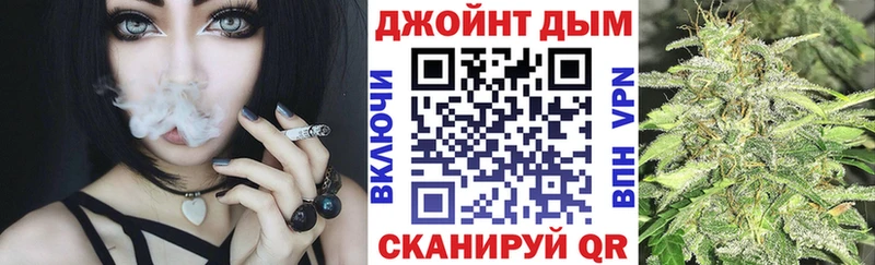 Бошки Шишки планчик  Терек 